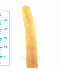 Yak Bone