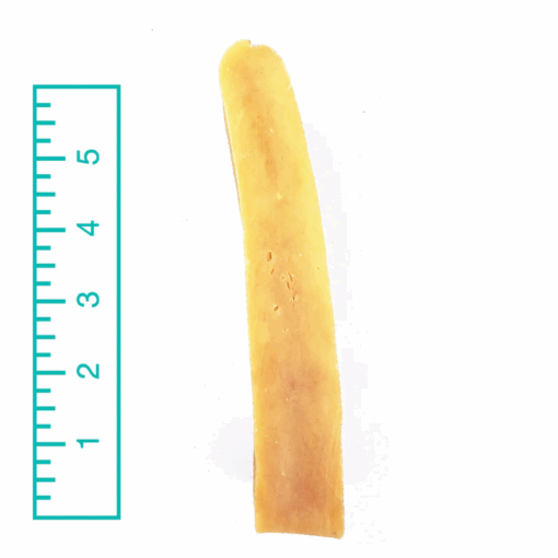 Yak Bone