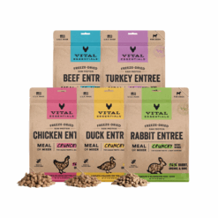 Vital Essentials Freeze Dried Crunchy Nibs