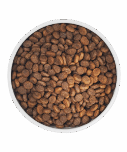 Dry Dog Food