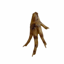 Chicken Feet & Duck Feet