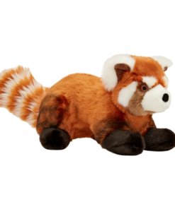 Archie Red Panda