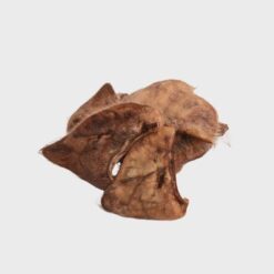 Eavesdropper Hairy Pig Ear