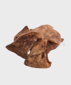 Eavesdropper Hairy Pig Ear