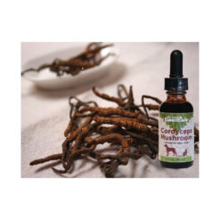 Animal Essentials Cordyceps Mushroom/ 2 oz.