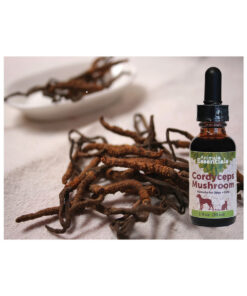Animal Essentials Cordyceps Mushroom/ 2 oz.