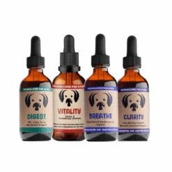 MycoDog Mushroom Tinctures