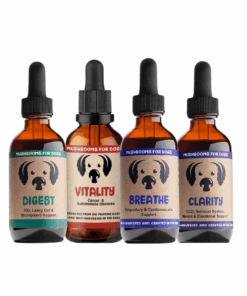 MycoDog Mushroom Tinctures