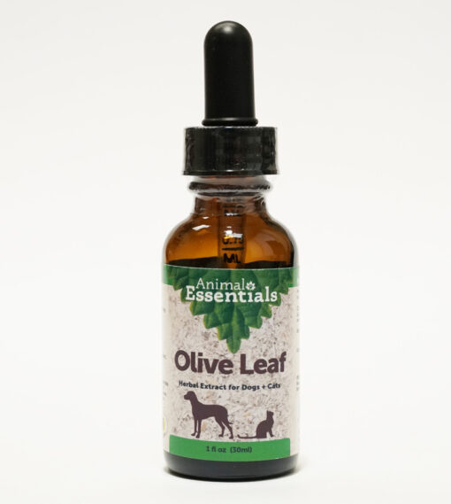 Animal Essentials Olive Leaf