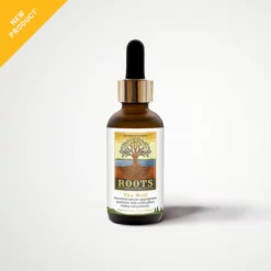 Adored Beast The Wolf