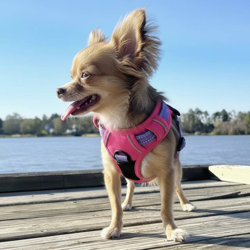 Venture Paw Pull Control Dog Harness - Sugar Rush Pink - Image 5