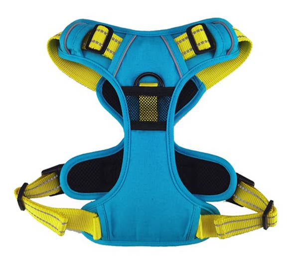 Venture Paw Harness - Sun Chaser Blue - Image 2