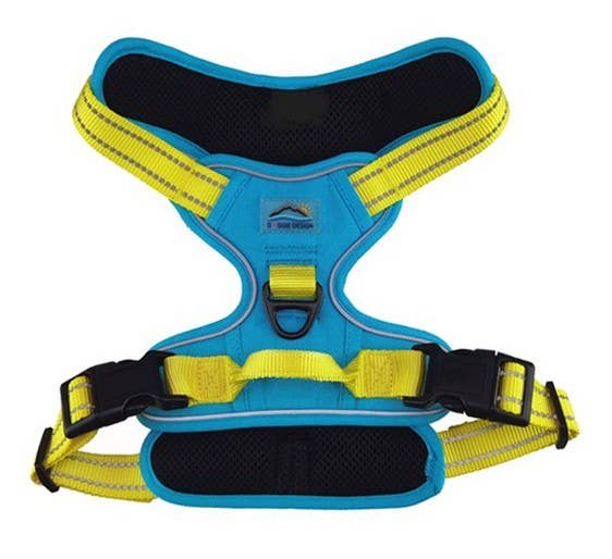 Venture Paw Harness - Sun Chaser Blue